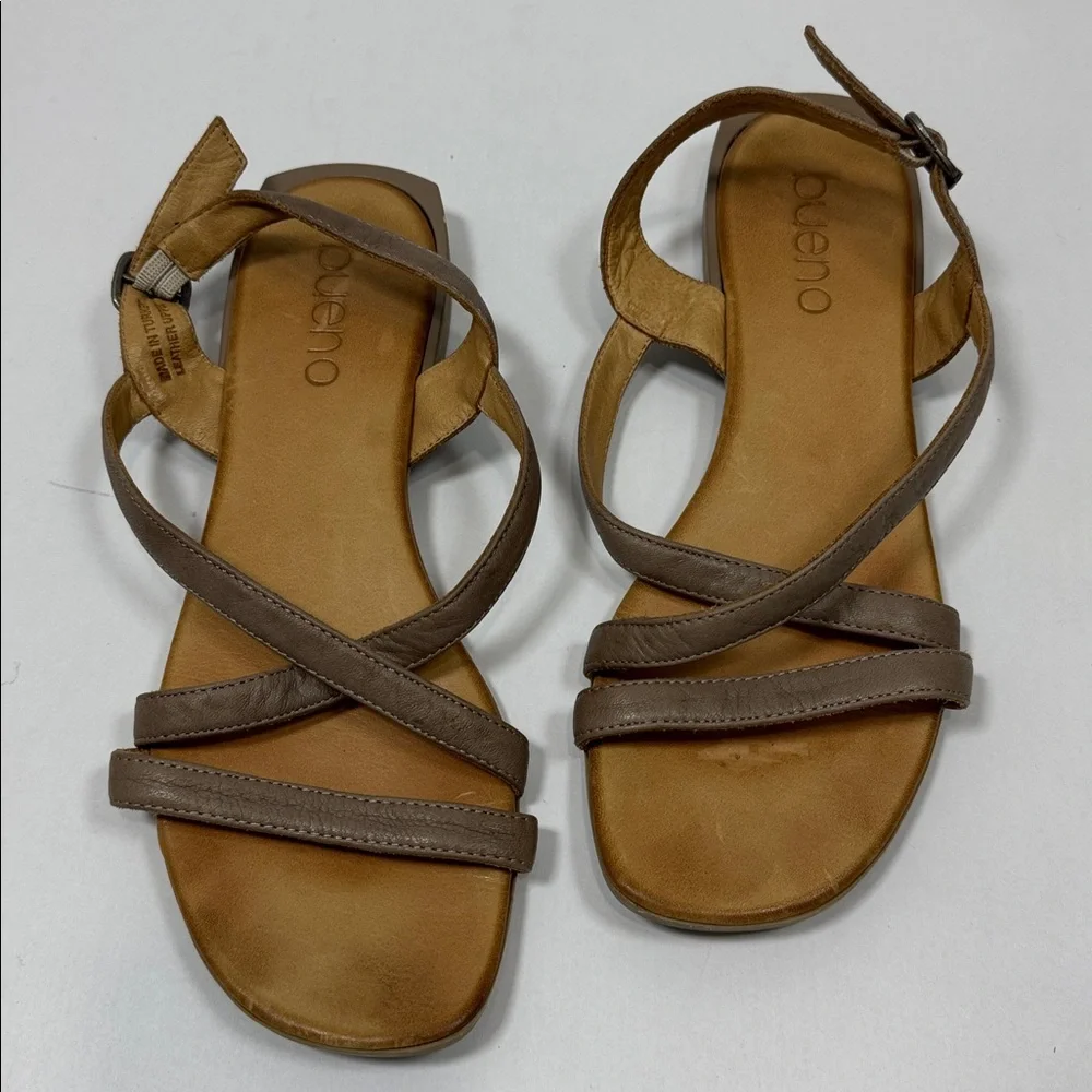Bueno elegant brown